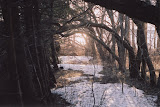 arch.jpg