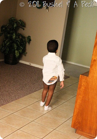 IMG_8555 IMG_8555
