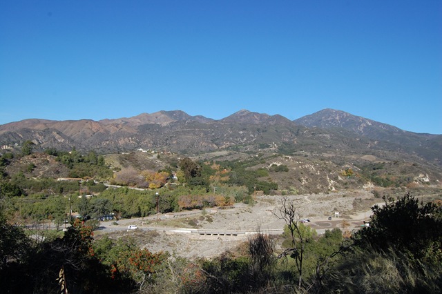 [December20086203.jpg]