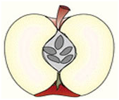 [image19.png]