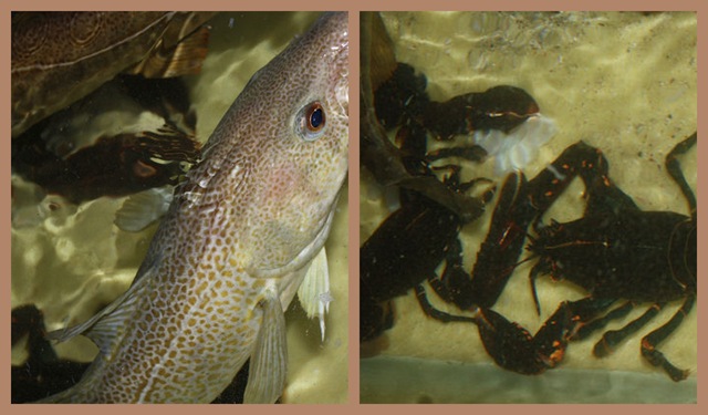 [lesundmontasje33.jpg]