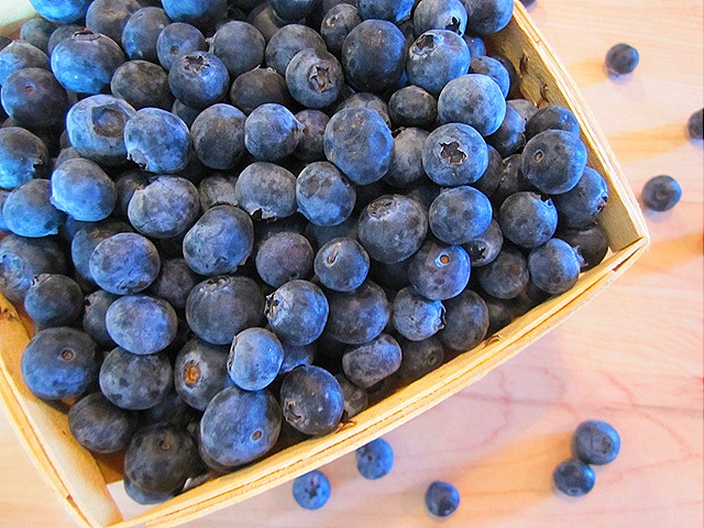 [Beautiful Blueberries[4].jpg]