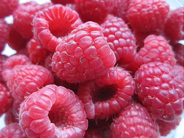 [Raspberries6.jpg]