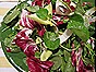 Bitter Greens Salad