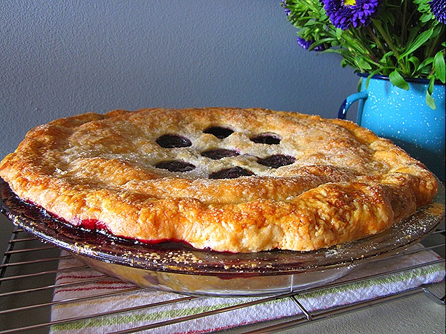 [Blueberry Pie[6].jpg]