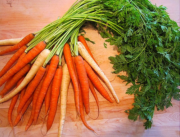 Carrots & Parsnips