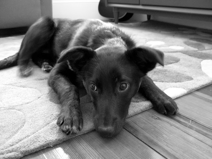 Athena0310