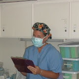 HF0280027.JPG