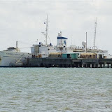 DSC_0244.JPG