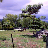 Omoa 024.jpg Omoa 024.jpg