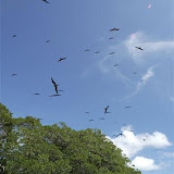 DSC_7686.JPG