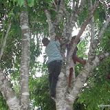 DSCN3679.JPG