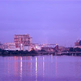 jax 11 06 004.jpg jax 11 06 004.jpg