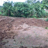 RDS Fish Pond 015.jpg RDS Fish Pond 015.jpg