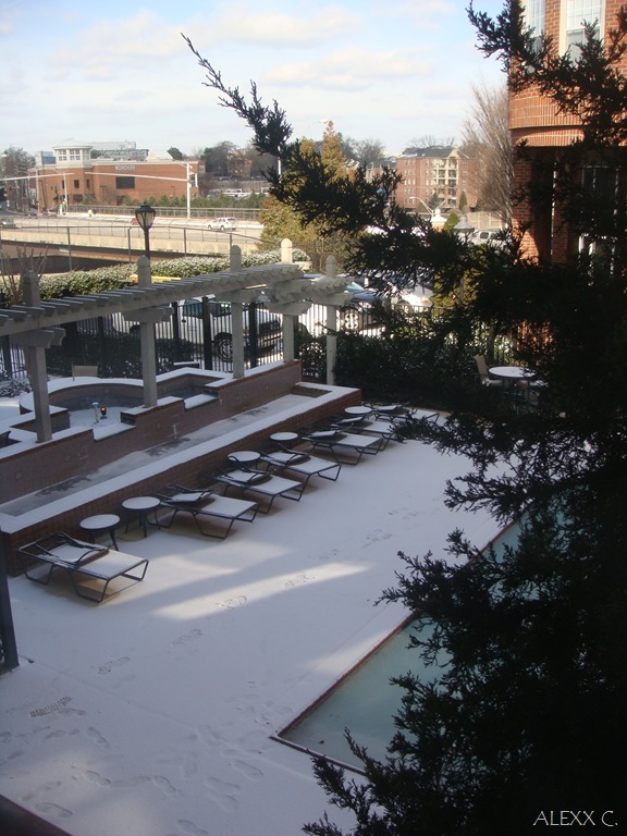 [DSC08958[1].jpg]