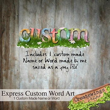 [CreatewingsDesigns_ExpressCustom_Preview350[3].jpg]