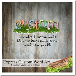 CreatewingsDesigns_ExpressCustom_Preview350