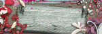 [6a00e5522763e2883301156f70b6a1970c-800wi[2].gif]