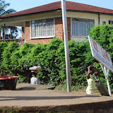  &ndash; Use the slide show option to get to know Freetown and see its vibrant colors along the way. ...© 2008 September Nazareth House Apostolate Media, Vicki Hicks: photographer