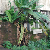  &ndash; ...© 2008 September Nazareth House Apostolate Media, Vicki Hicks: photographer