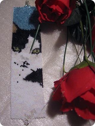 IMG_2140 IMG_2140