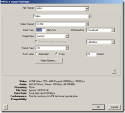 07-2009 Video Conversion Automation 07
