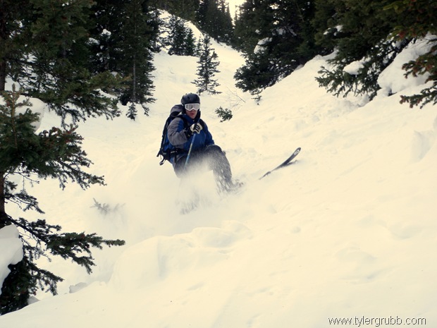 [P1300120-1[4].jpg]