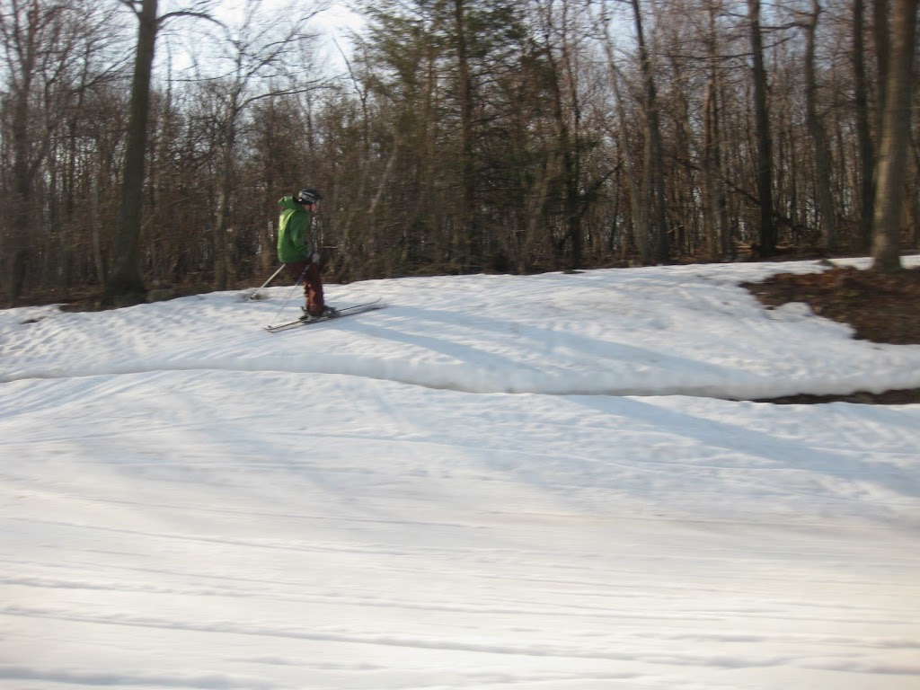 IMG_0019.JPG