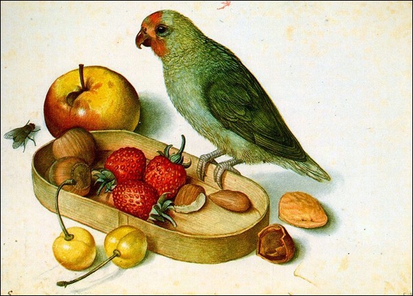 Georg Flegel, Nature morte avec perroquet