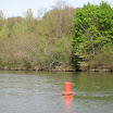 IMG_6344.jpg