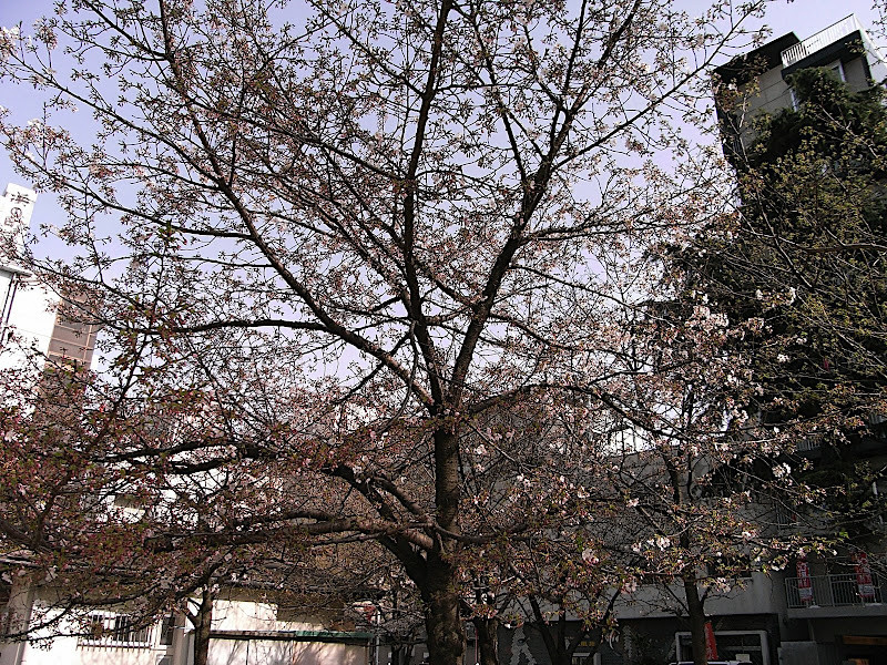 RIMG0039.JPG