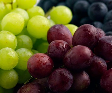 [grapes[3].jpg]