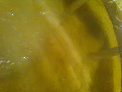 095IMAG0268.jpg