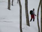 DSCN3642.JPG