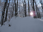 DSCN3415.JPG