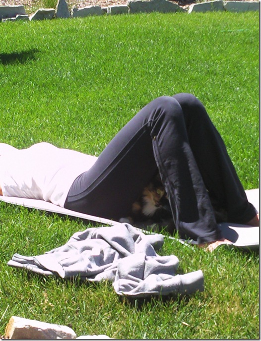 Downward Dog or Hidden Cat?