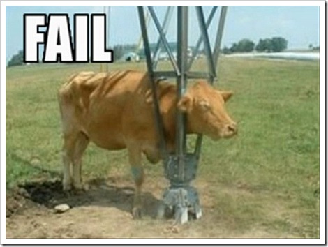 cow_fail2.jpg?imgmax=800