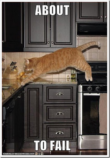 funny cat photos. funny backgrounds_18. funny cat photos.