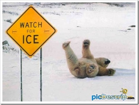 Funny+slipping+on+ice