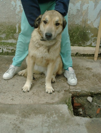 KIKA1
