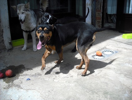 DSCF5486 DSCF5486