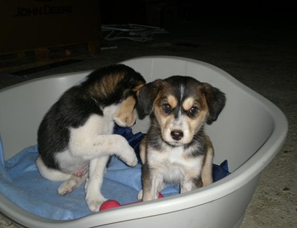 Lola y Lolo 1