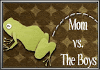 mom vs. the boys blog