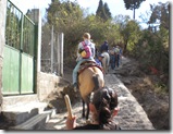 DSCN1452