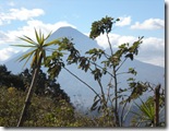 DSCN1454