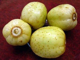 lemon cucumbers