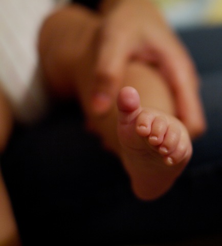 [20100130-P1308527[8].jpg]