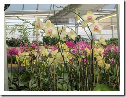 IMG_0209 IMG_0209