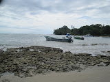 IMG_1140.JPG