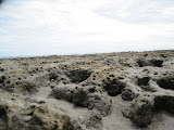 IMG_1142.JPG